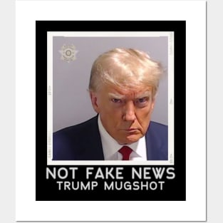 Not Fake News Trump Mugshot Posters and Art